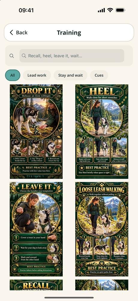 Training cards for drop it, heel, leave it and loose leash walking